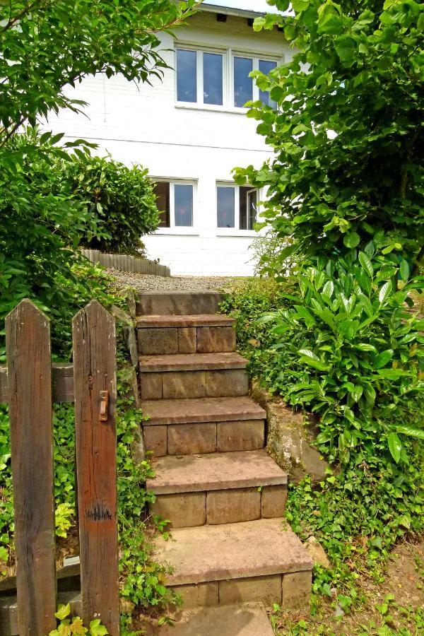 Haus Tannenweg Lägenhet Zell an der Mosel Exteriör bild